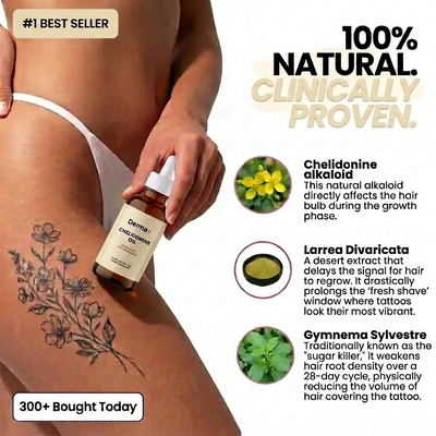 Chelidonine Oil